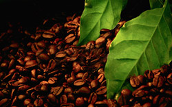 OÉTI