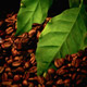 Caffeine